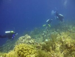 Divers IMG 6926